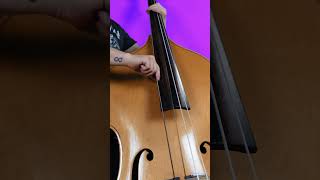 Can a bass guitar sound like a double bass bass bassguitar doublebass [upl. by Corotto]