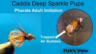 Caddis Deep Sparkle Pupa Bead Head Variant Fly Pattern  Adult Pharate Imitation [upl. by Elimay537]