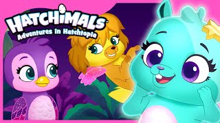 Over 1 Hour of Hatch Bright Adventures  Hatchimals  Cartoons for Kids [upl. by Koser]