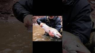 Missing colder weather and Steelies fishingvideo flyfishing steelhead troutfishing fishinglife [upl. by Rape]