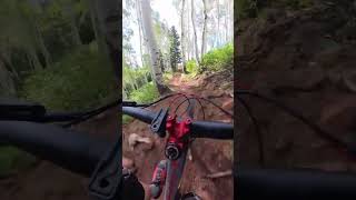 spinaltap richfield utah aribikes fezzari insta360 mtb bicycle utahmtb mountainbike bike [upl. by Eiramrefinnej]