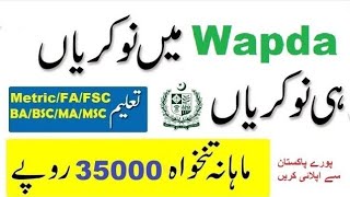 WAPDA Jobs 2024 – Download Application Form [upl. by Havelock244]