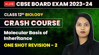 Molecular Basis of Inheritance  One Shot Revision Part 2  Class 12 Biology Crash Course Ch 5 [upl. by Anavahs]