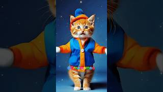 kucing kucinglucu kucingjoget Kucing Joget Tang Ting Tung fyp shorts [upl. by Dric610]