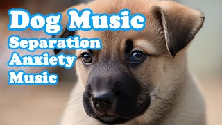 dog music to calm them Healing Music for Deep sleeping music for dogs [upl. by Atiuqram]