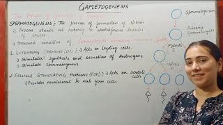 GAMETOGENESIS HUMAN REPRODUCTION CLASS 12 [upl. by Noach692]