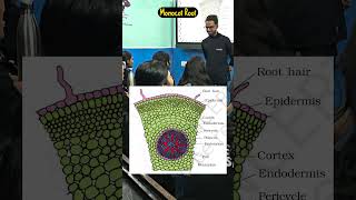 Monocot Root Simplified for NEET  Class 11 NCERT Biology  Ankit Sir  Anatomy of Flowering Plants [upl. by Lorry]