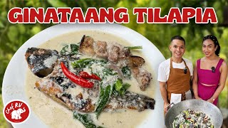 GINATAANG TILAPIA WITH ERIN  Chef RV [upl. by Doerrer]