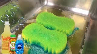 🤩 Sudsy Suds  ASMR SPONGE SQUEEZING  🤩 [upl. by Renado263]