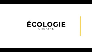 Tuto n°2  Questceque lécologie urbaine  par Marion Waller [upl. by Quincy399]