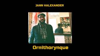 Jann Halexander – Altérités album Ornithorynque 2024 [upl. by Petrine]