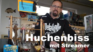 Huchen angeln mit Streamer live Biss  Fishingprofi [upl. by Aicissej965]