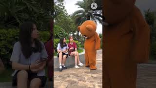 Teddy bear video shortsshortsfeed teddy funny12466 funnynewclipbbk [upl. by Drahcir694]