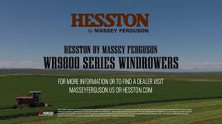 Hesston by Massey Ferguson 9870 Series Windrower and John Deere W235 Field Trial [upl. by Sardse967]