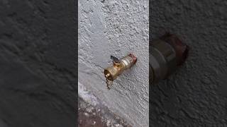 Adding a new hose bib with whatever I got on the truck asmr plumbing [upl. by Maegan]