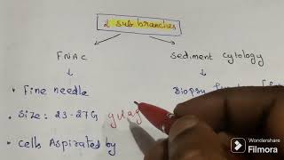 Cytopathology  Basic Introduction 1 [upl. by Annoynek]