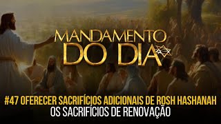 OS SACRIFÍCIOS DE RENOVAÇÃO Mandamento do Dia 47 OFERECER SACRIFÍCIOS ADICIONAIS DE ROSH HASHANAH [upl. by Nuarb]