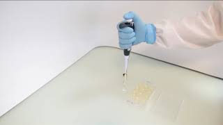 Readytouse agar dilution panels Test Procedure [upl. by Sualkin]