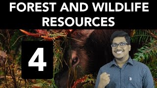 Geography Forest and Wildlife Resources Part 4 [upl. by Dragon]