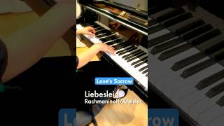 Rachmaninoff  Kreisler  Liebesleid Loves Sorrow From „Your Lie In April“ shorts [upl. by Ard748]