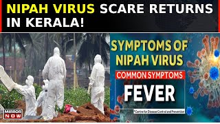 Nipah Virus Detected In Bat Samples Another Crisis Looming In The State Of Kerala  South Speaks [upl. by Arakaj]