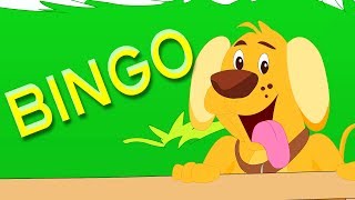 Bingo der Hund  Kinderreim für Kinder  Dog Rhyme  Rhyme For Kids  Baby Song  Bingo Dog Song [upl. by Notrem]