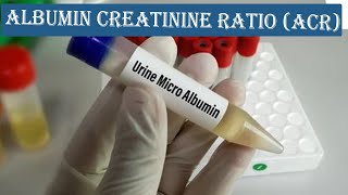 Albumin Creatinine Ratio ACR  How to Calculation ACR  with Normal Value [upl. by Parik937]