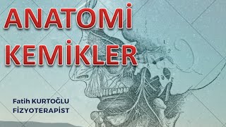 Anatomi KEMİKLER Konu Anlatımı5  ÖnlisansLisans [upl. by Hillie]