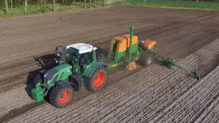 Mais 2017  Fendt Vario 724  Amazone EDX 6000  Cabview  DJI  GoPro  HD [upl. by Oleg]