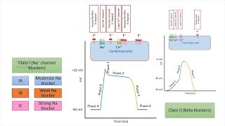 Antiarrhythmic drugs agents  Chapter 3 Classification and Mechanism of Action Made Easy [upl. by Ardnuasac50]