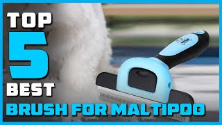 Best Brushes for Maltipoo In 2023  Top 5 Review  Grooming amp Massaging Dogs Cats amp Other Animals [upl. by Attelliw]