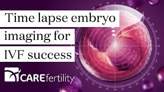 Time lapse embryo imaging for IVF success  CaremapsAI®  Care Fertility [upl. by Dennet]