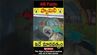 🐕‍🦺ఫ్యామిలీ🐕‍🦺 Cute dogs travelling with owner telugufacts dogs shorts youtubeshorts abfacts [upl. by Obadiah]