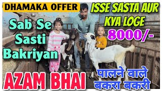 8000 Onwards Sab Se Saste Bakra Bakri At AZAM BHAI  2024 Palne Wale Breeding Setup Female Goat [upl. by Ennovoj763]