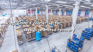 GLOBALink  Vlog Chinas courier sector sees accelerated recovery [upl. by Kieger29]