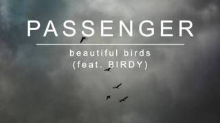 Passenger amp Birdy  Beautiful Birds Official Lyrics Video [upl. by Onyx]