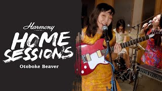 Otoboke Beaver and the Rebel Electric Guitar  Harmony Home Sessions [upl. by Stolzer]