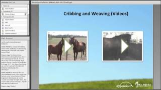 Is it Coping or is it a Vice A Review of Cribbing Weaving and Other Stereotypic Behaviors [upl. by Ynoffit]