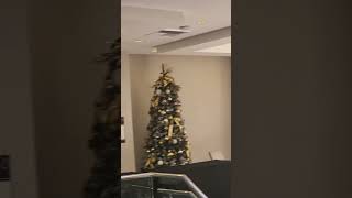 Quick view of the Christmas trees inside avenue of the arts hotel Costa Mesa California 11132024 [upl. by Ahsinej389]