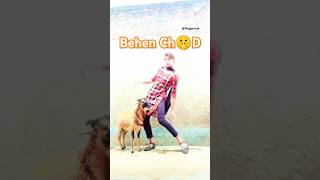 When The Goat SaidTHAT  goat funny videos  shorts goat funny youtube entertainment [upl. by Eindys]