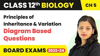 Principles of Inheritance and Variation  Diagram Based Questions  Class 12 Biology Chapter 4 [upl. by Ecinev]