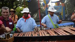 MARIMBA NICOHA  Luna Liberiana Santa Cruz 2015 [upl. by Chaille]