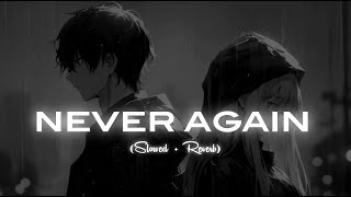 NEVER AGAIN Slowed  Reverb Prem Dhillon [upl. by Gael]