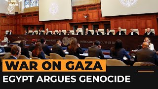 Egypt deals ‘diplomatic blow’ to Israel by joining ICJ genocide case  Al Jazeera Newsfeed [upl. by Rihat]