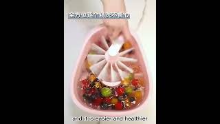 Fruit Vegetable Washing Machine [upl. by Aicsila]