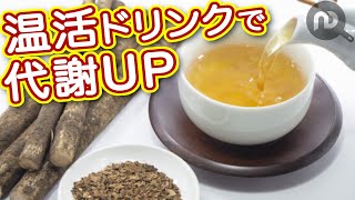 体を温める飲み物を紹介！冷え性さん必見の温活ドリンクで代謝アップへ NDKitchen Wellness [upl. by Lenora111]