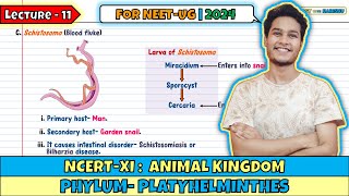 Lec 11 Phylum Platyhelminthes Animal Kingdom Class 11 NEET 2024 [upl. by Enaht]