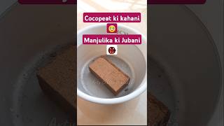 Cocopeat brick कैसे use करे shortvideo artycraftyprajakta trending shorts meredholna3 cocopeat [upl. by Azar405]