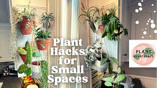 House Plant HACKS  Styling and Decor for Small Spaces Plant Tour with names [upl. by Notyarb]