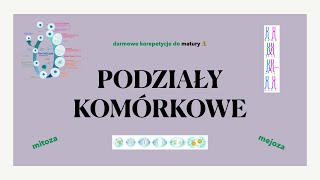 5 Podziały komórkowe  mitoza i mejoza cykl komórkowy 🧬 matura z biologii 🐢 korepetycje 📗 liceum [upl. by Elraet937]